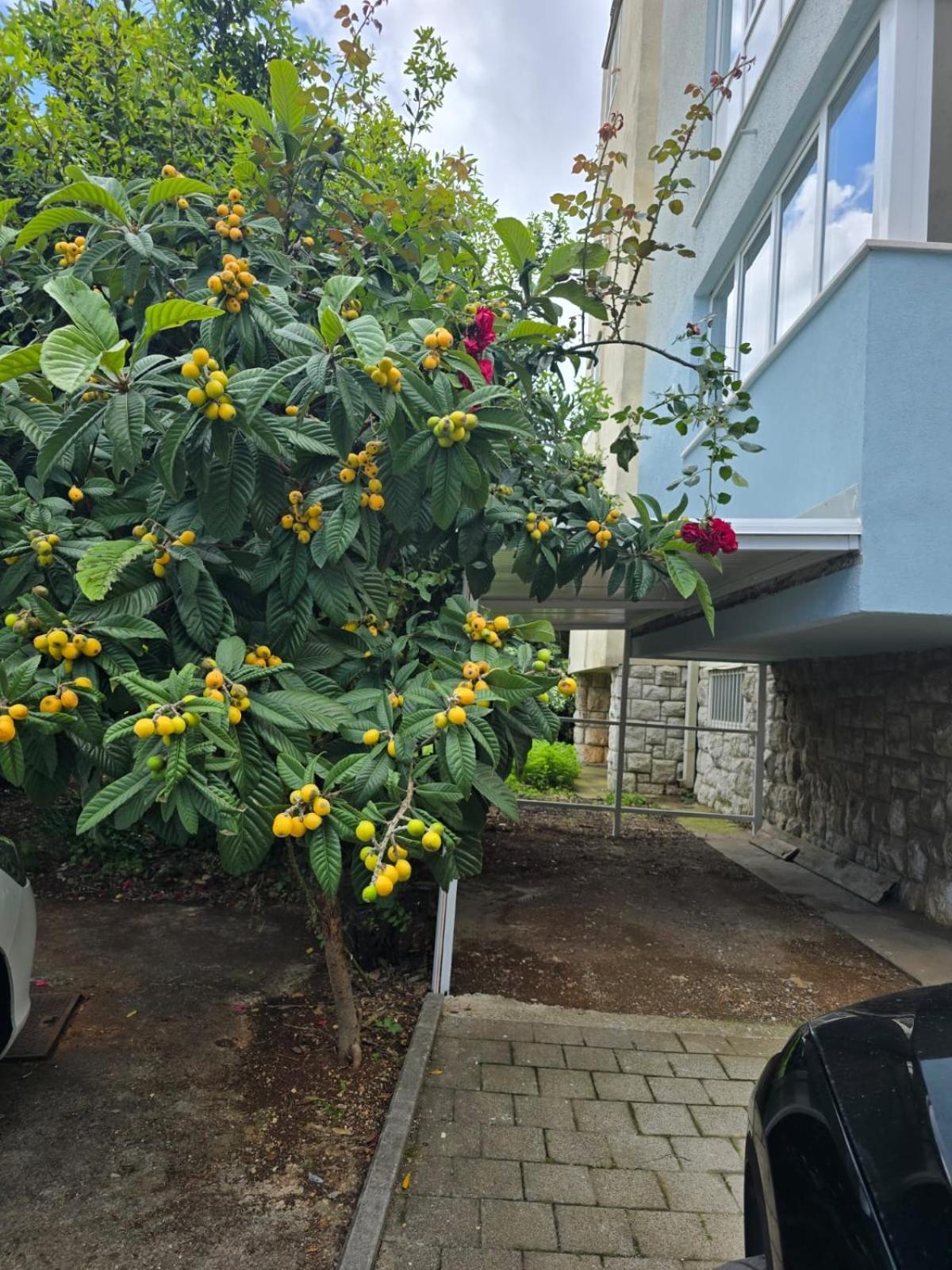 Dado With Cover Parking On Ideal Location Apartamento *